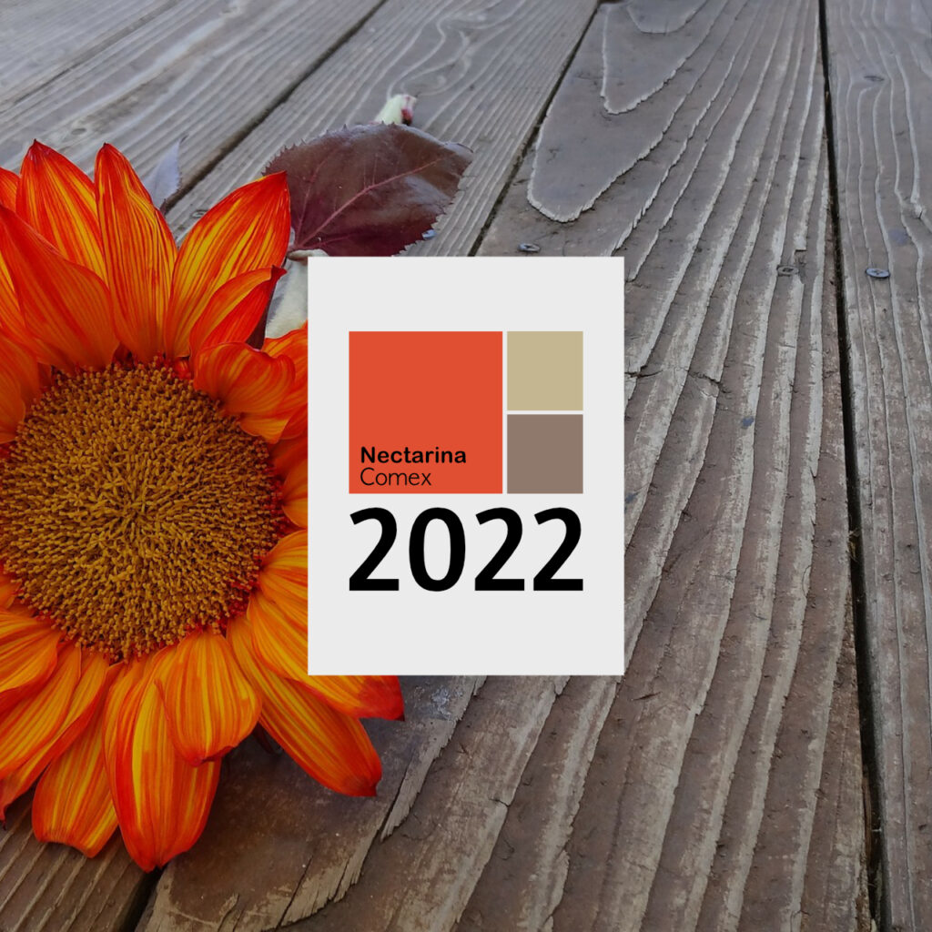 Propuesta Comex 2022 Tono Nectarina